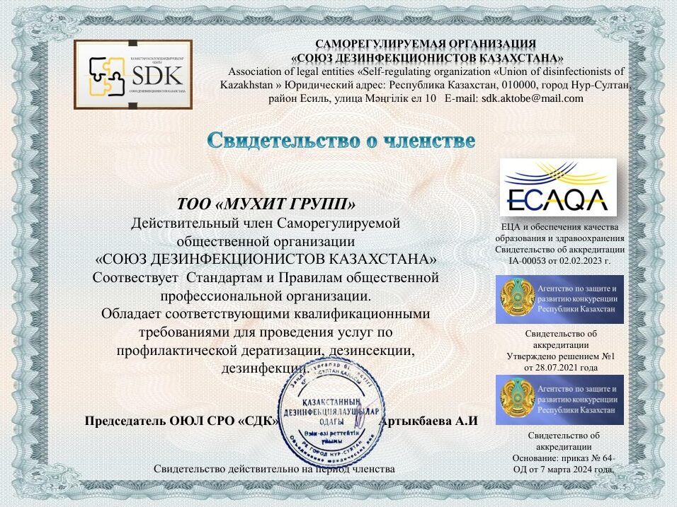 Изображение WhatsApp 2025-12-05 в 18.59.29_f379a63d